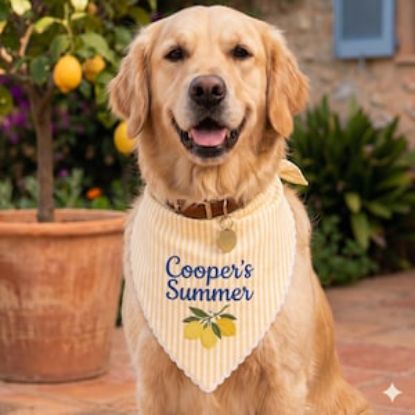 Personalized Lemon Dog Bandana, Custom Embroidered Dog Bandana, Blue Pet Dog Cat Bandana, Summer Puppy Scarf Gift, Pet Party Outfit