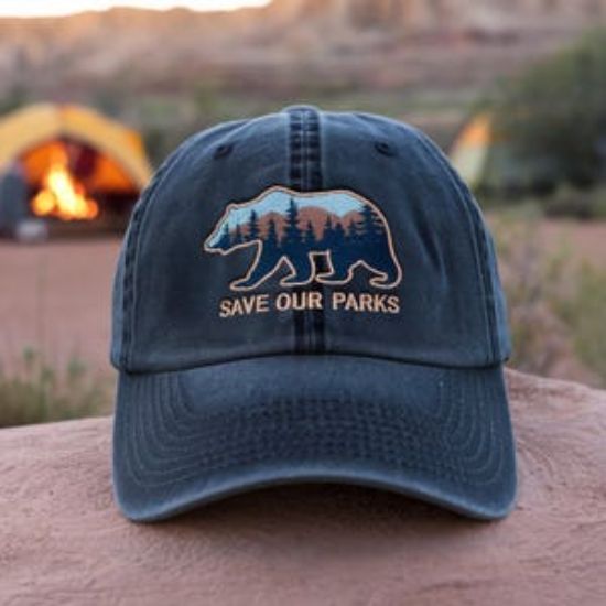 Embroidered Protect Our National Parks Pigment Dyed Hat, Resist FDT Dad Hat, Bear National Parks Support Hat, Protect National Parks Hat