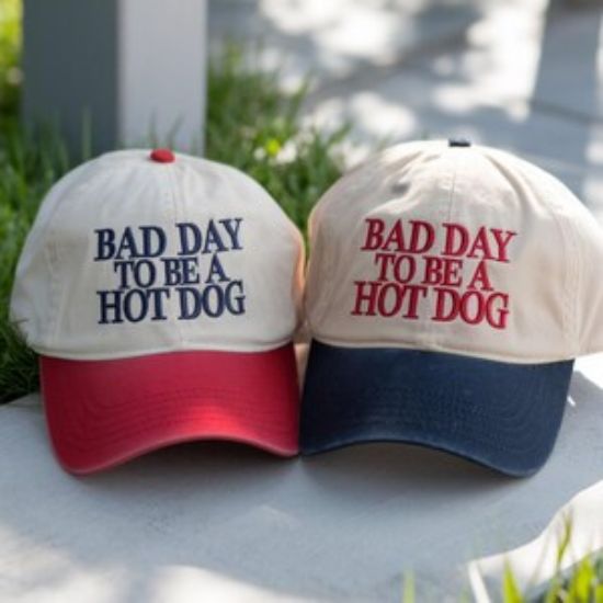 Embroidered Bad Day To Be a Hot Dog Baseball Hat, Funny 4th of July Embroidered Tee, To be a Hot dog Hat, Sarcastic Baseball Hat